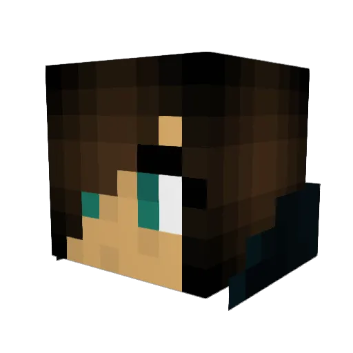 salamandersoup Minecraft avatar head, 3D render