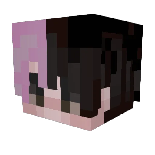 salamitepel Minecraft avatar head, 3D render