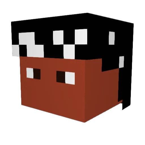 salatelkaweh Minecraft avatar head, 3D render