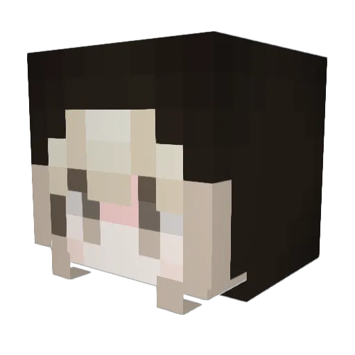 salatez Minecraft avatar head, 3D render