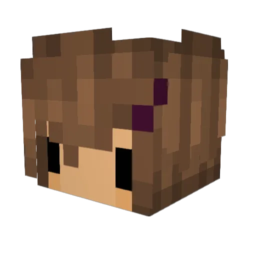 salatwaffel Minecraft avatar head, 3D render