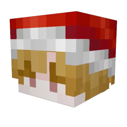 salcG Minecraft avatar head, 3D render