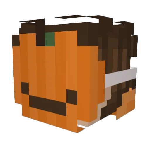 salchi08 Minecraft avatar head, 3D render