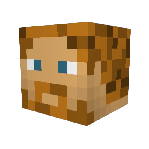 saleeba Minecraft avatar head, 3D render
