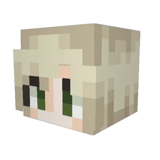 salemlul Minecraft avatar head, 3D render