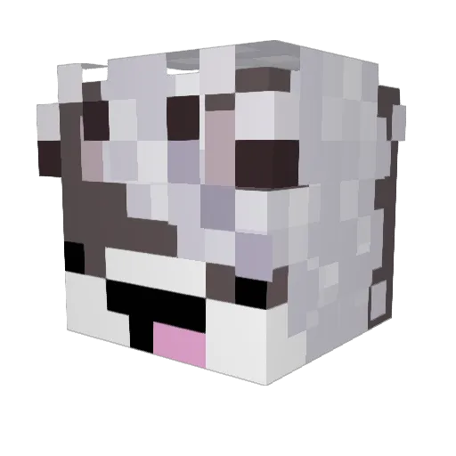 salempurrs Minecraft avatar head, 3D render
