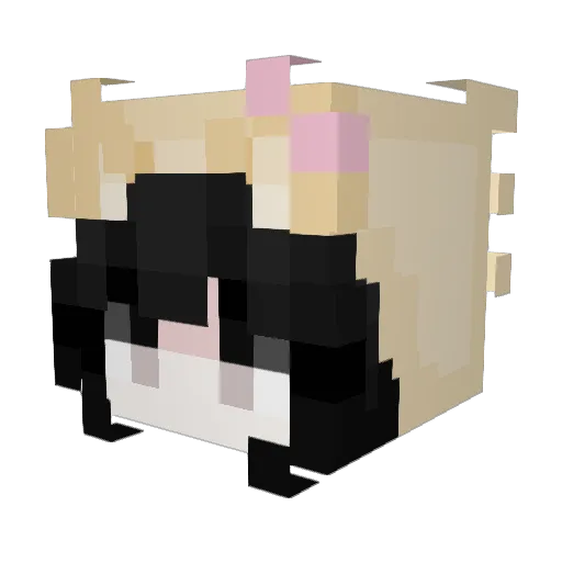 salen08_ Minecraft avatar head, 3D render