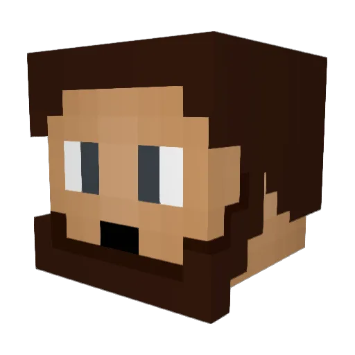 salik15 Minecraft avatar head, 3D render