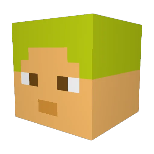 salimis Minecraft avatar head, 3D render