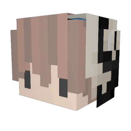 salinas1999 Minecraft avatar head, 3D render