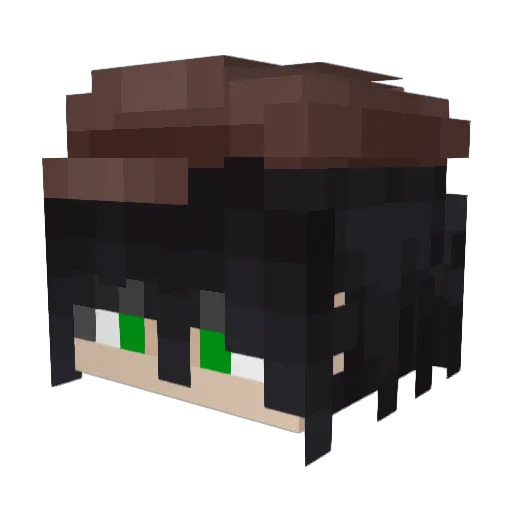 sallamadm Minecraft avatar head, 3D render