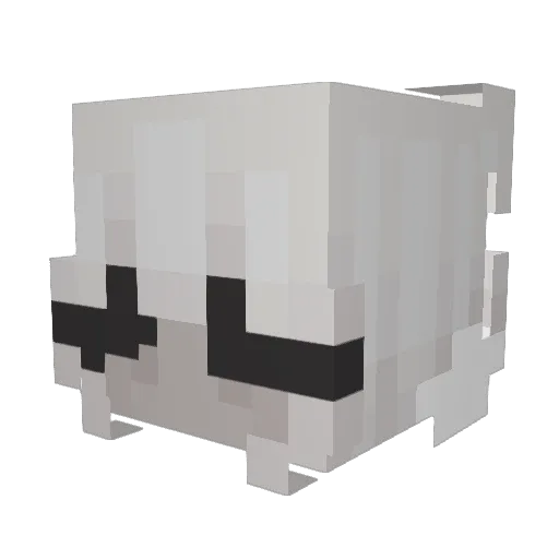 sallei Minecraft avatar head, 3D render