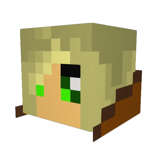 sallen2001 Minecraft avatar head, 3D render