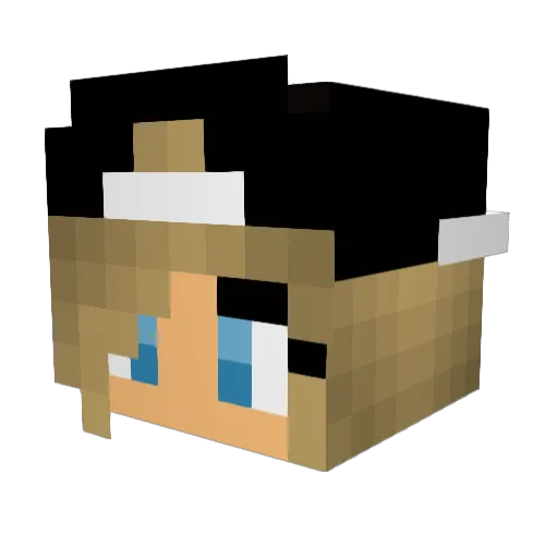 sallerphilipp Minecraft avatar head, 3D render