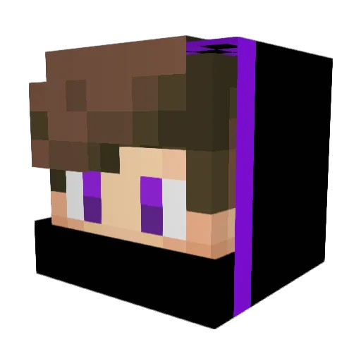 sallinha Minecraft avatar head, 3D render