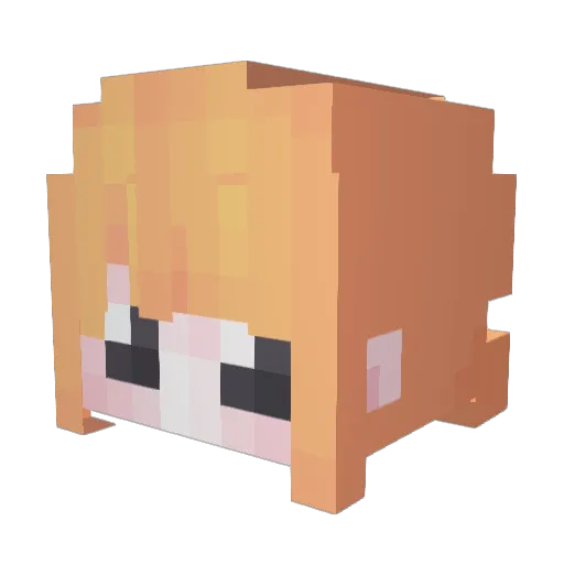 sally0340 Minecraft avatar head, 3D render