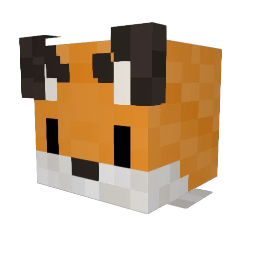 sallylil Minecraft avatar head, 3D render