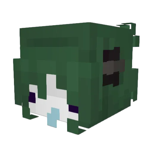 sallynewba Minecraft avatar head, 3D render