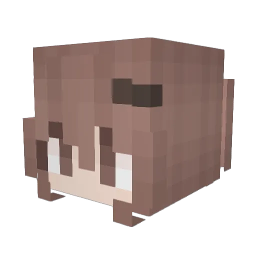 salmon2035 Minecraft avatar head, 3D render