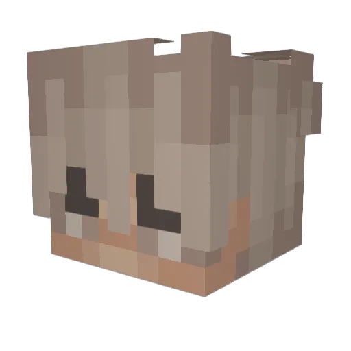 salmon280 Minecraft avatar head, 3D render