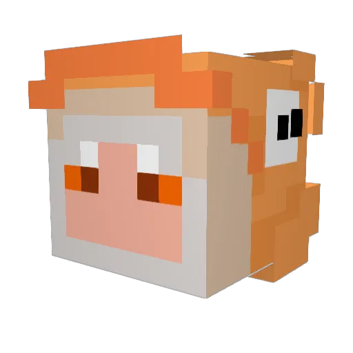 salmon_2999 Minecraft avatar head, 3D render