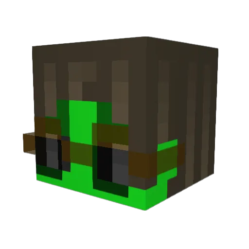 salmon_nemo Minecraft avatar head, 3D render