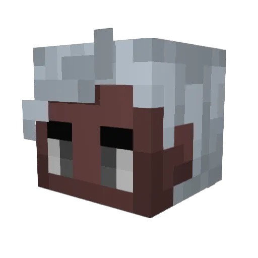 salmon_run Minecraft avatar head, 3D render