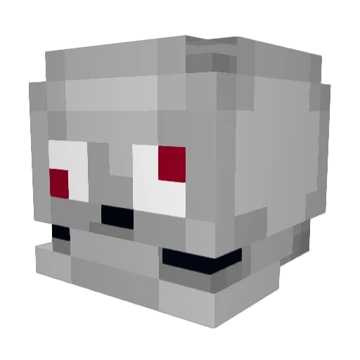 salmon_senpai321 Minecraft avatar head, 3D render