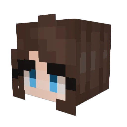 salmonkarp Minecraft avatar head, 3D render