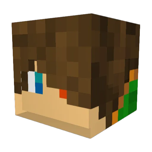 salmonleft Minecraft avatar head, 3D render