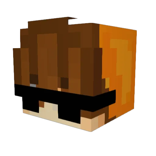 salmonmc Minecraft avatar head, 3D render