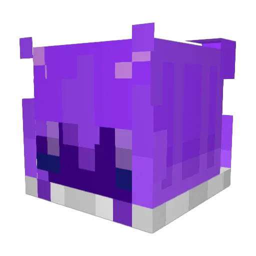 salmonroe4 Minecraft avatar head, 3D render