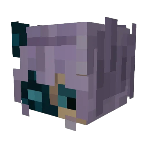 salnx Minecraft avatar head, 3D render
