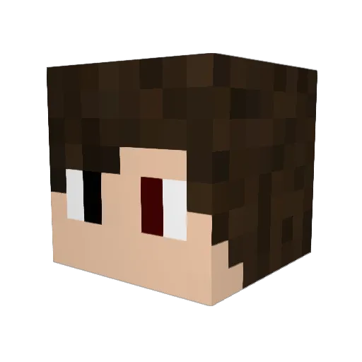 salocin12345 Minecraft avatar head, 3D render