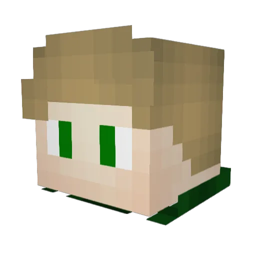 salougo Minecraft avatar head, 3D render