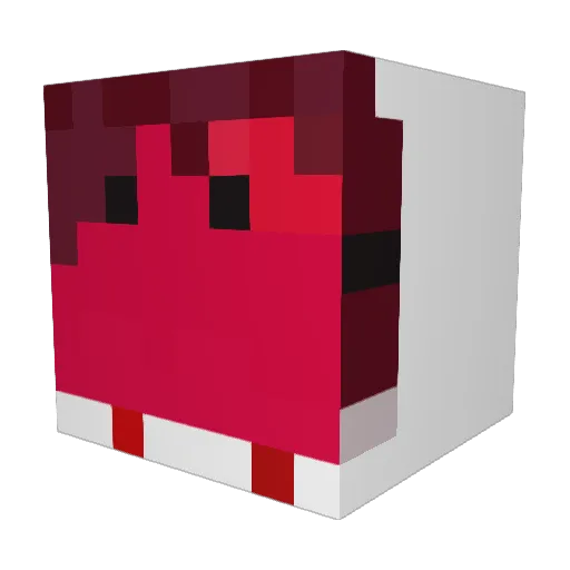 salox5 Minecraft avatar head, 3D render