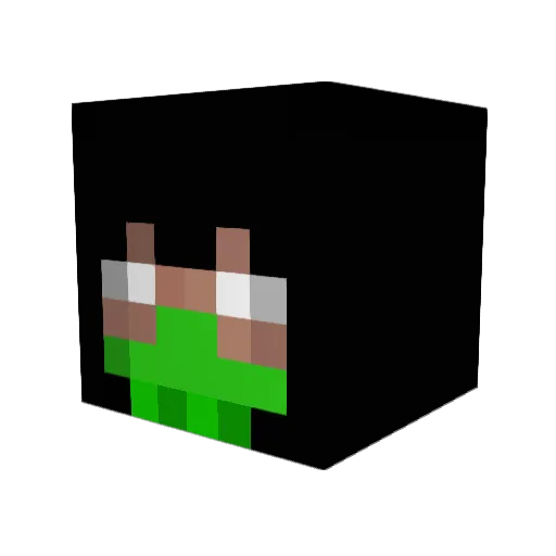 salsa_cookies Minecraft avatar head, 3D render