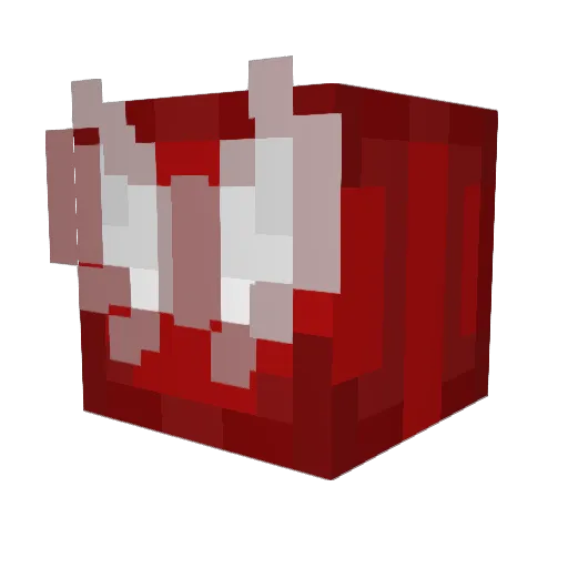 salsamunch Minecraft avatar head, 3D render