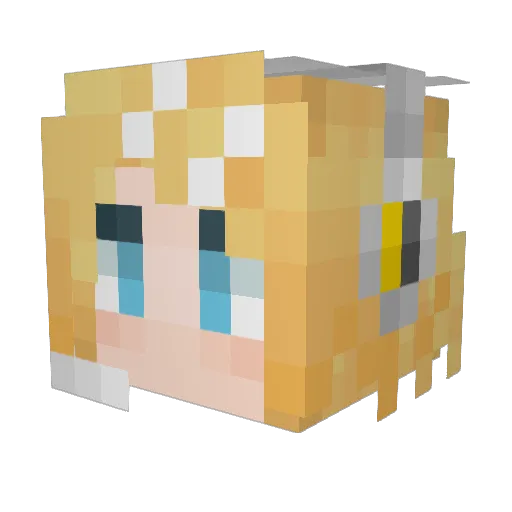 salsapro Minecraft avatar head, 3D render
