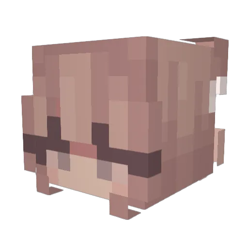 salsasauceee Minecraft avatar head, 3D render