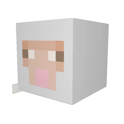 salt834 Minecraft avatar head, 3D render