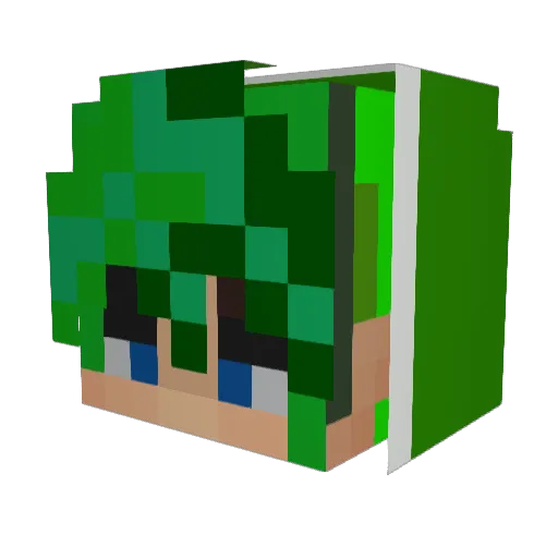 saltS2 Minecraft avatar head, 3D render