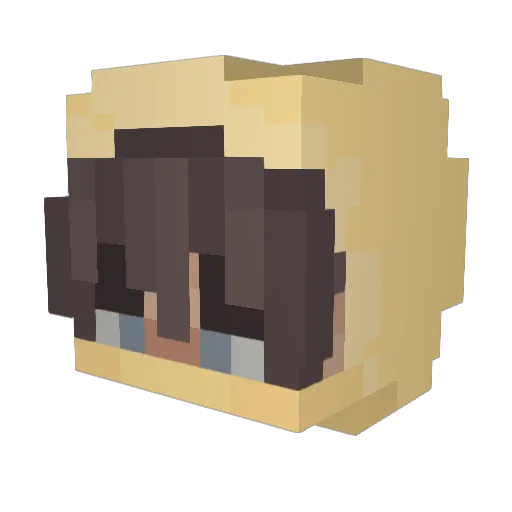 salt_JY Minecraft avatar head, 3D render