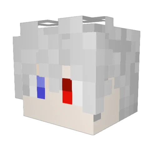 salt_fish2013 Minecraft avatar head, 3D render