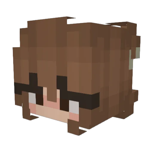 saltatlas232 Minecraft avatar head, 3D render
