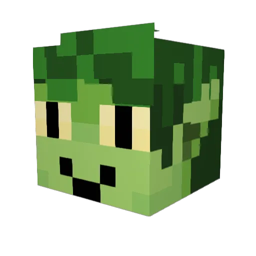 saltcipher Minecraft avatar head, 3D render