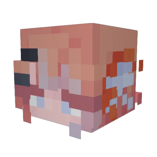 saltedfluff Minecraft avatar head, 3D render