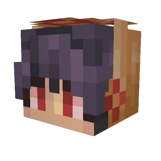 saltedjaab Minecraft avatar head, 3D render