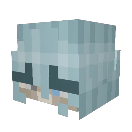 saltedlice Minecraft avatar head, 3D render