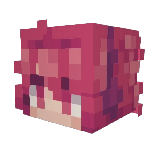 saltedpotatoesz Minecraft avatar head, 3D render